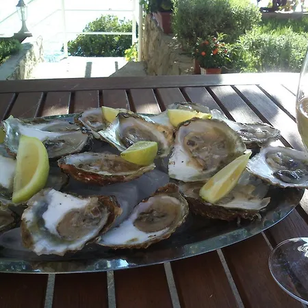 Lejlighed Sunset Slano